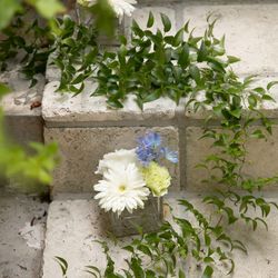 ロザンジュイア 広尾迎賓館の写真17枚目