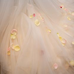 ロザンジュイア 広尾迎賓館の写真2枚目