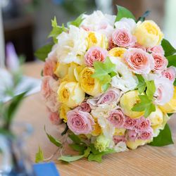 ベル・カシェットの写真30枚目