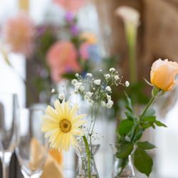 ベル・カシェットの写真5枚目