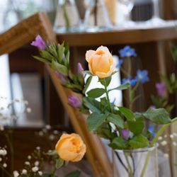 ベル・カシェットの写真3枚目