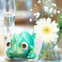 ベル・カシェットの写真2枚目