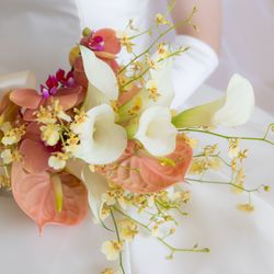 THE JAPONAIS LISERJUの写真1枚目