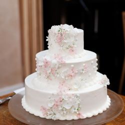 南青山サンタキアラ教会の写真6枚目