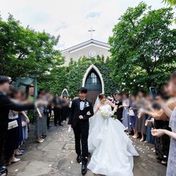 南青山サンタキアラ教会の写真2枚目