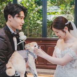 リストランテASOの写真24枚目