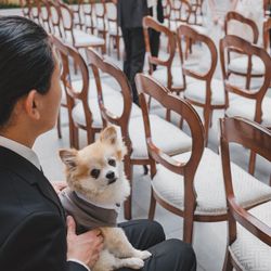 リストランテASOの写真20枚目