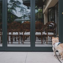 リストランテASOの写真7枚目