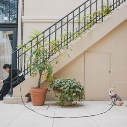 リストランテASOの写真32枚目