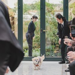 リストランテASOの写真8枚目