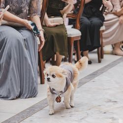 リストランテASOの写真30枚目