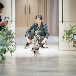 ニーズ青山 by T&G WEDDING の写真1枚目