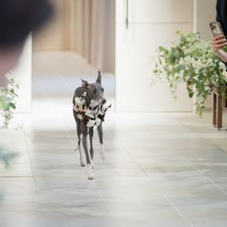 ニーズ青山 by T&G WEDDING の写真5枚目