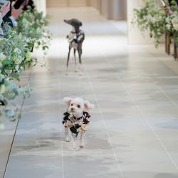 ニーズ青山 by T&G WEDDING の写真8枚目