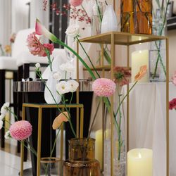 シャルマンシーナ東京の写真1枚目