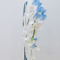 アルマリアン 福岡の写真17枚目