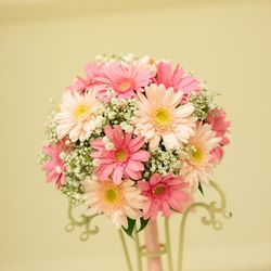 アニヴェルセル 豊洲の写真24枚目