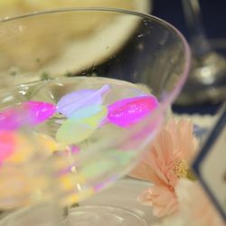 アニヴェルセル 豊洲の写真2枚目