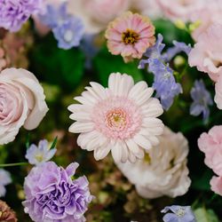 アニヴェルセル 表参道の写真3枚目