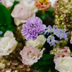 アニヴェルセル 表参道の写真35枚目