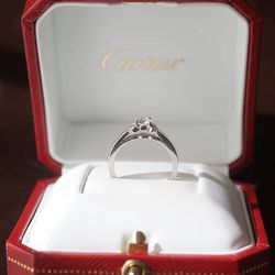 パラダイスガーデン・クリスタルチャペルの写真19枚目