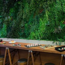 SOLA KOBEの写真8枚目