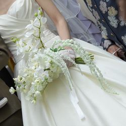 SOLA KOBEの写真6枚目