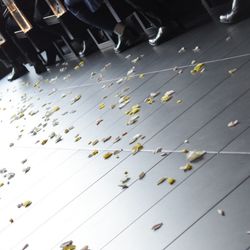 SOLA KOBEの写真17枚目