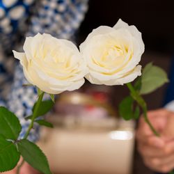 アンジェリオン オ プラザ TOKYOの写真25枚目