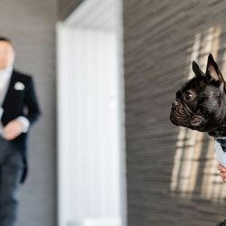 ノートルダム神戸の写真21枚目