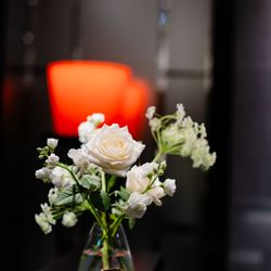 ノートルダム神戸の写真26枚目