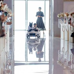 ノートルダム神戸の写真34枚目