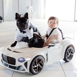 ノートルダム神戸の写真4枚目