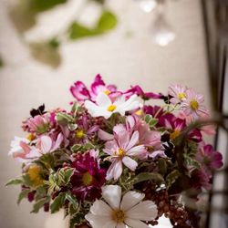 ベル・カシェットの写真21枚目