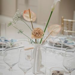 SOLA KOBEの写真30枚目