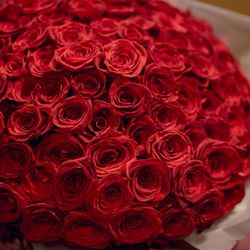 The Place of Tokyoの写真1枚目