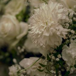 The Place of Tokyoの写真21枚目