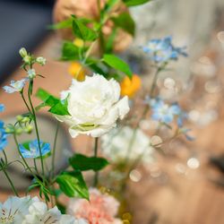 GRADATIONSの写真12枚目