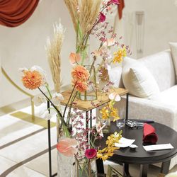 アヴァンセリアン大阪の写真16枚目