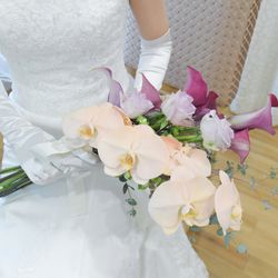 ザ・プレミアムレジデンス ラグナヴェール広島の写真19枚目