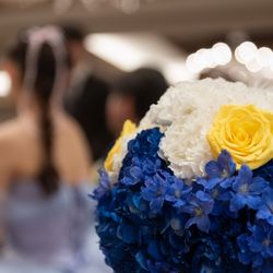 アルマリアン東京の写真26枚目