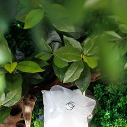 シャルマンシーナ東京の写真2枚目