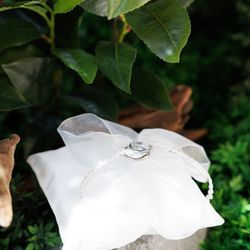 シャルマンシーナ東京の写真3枚目