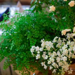 SHOZAN  RESORT  KYOTOの写真23枚目