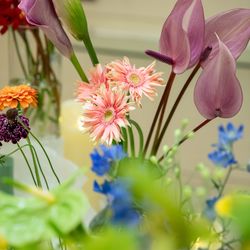 ラグナヴェール名古屋の写真21枚目