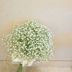 ラグナヴェール名古屋の写真22枚目