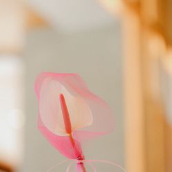 THE SORAKUEN の写真31枚目