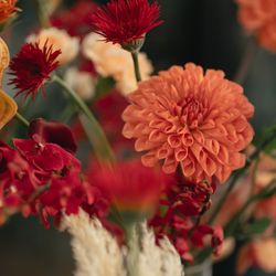 The Place of Tokyoの写真1枚目