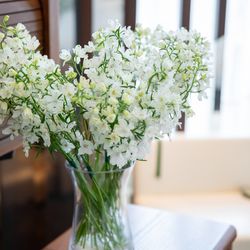 ラグナヴェール名古屋の写真23枚目