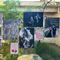 THE SORAKUEN の写真8枚目